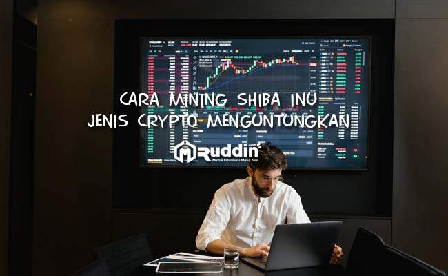 Cara Mining Shiba Inu